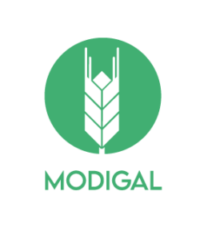 logo modigal vsbl