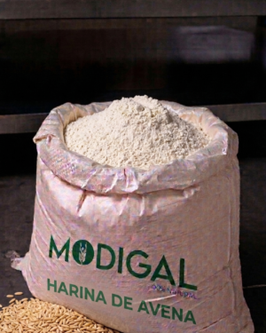 Harina de Avena Modigal