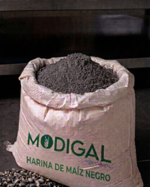 Harina de Maíz Negro_Modigal