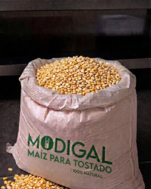 Maíz para Tostado_Modigal