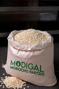 Morcho Partido_Modigal