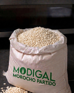 Morcho Partido_Modigal