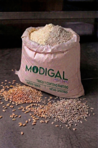 Trigo y Centeno Partido_Modigal