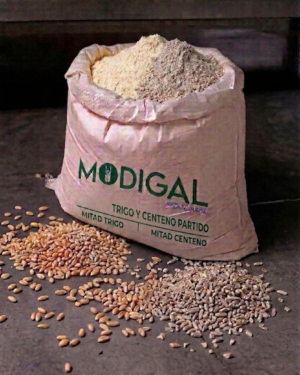 Trigo y Centeno Partido_Modigal